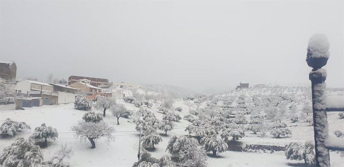 Tahal (Almería), bajo la intensa nevada de las últimas horas