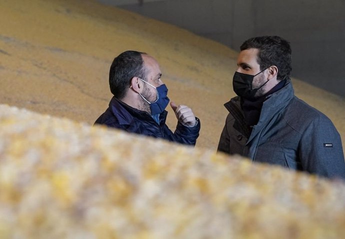 El líder del PP. Pablo Casado, en su visita a las instalaciones de Comercial ALECA en Lleida, junto al presidente del PP de Cataluña, Alejandro Fernández.