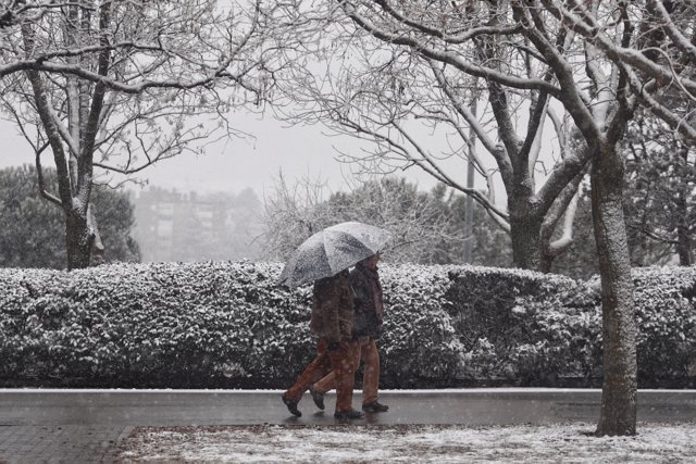 Dos personas pasean con paraguas en el parque Juan Carlos I tras el paso de la borrasca Filomena, en Madrid (España)