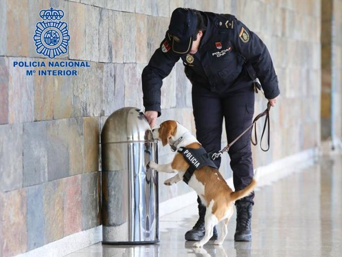 Foto de archivo de una inspección de la Policía Nacional.