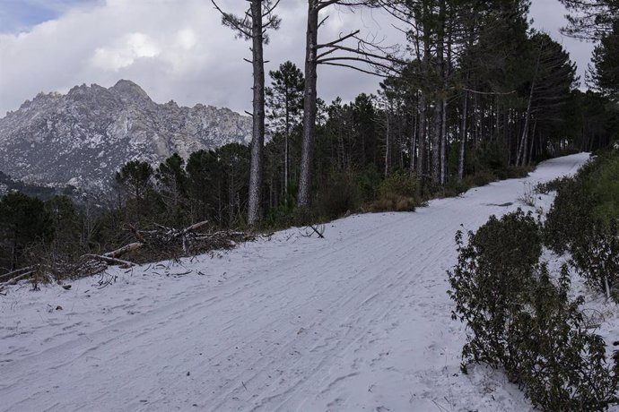 Paisaje nevado en la sierra de Madrid