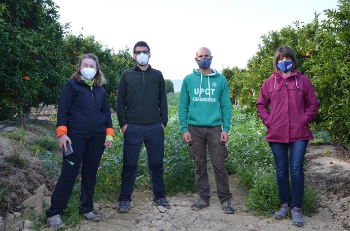 Investigadores de la UPCT posan en la finca donde realizan el proyecto Drivefarming  (upct)