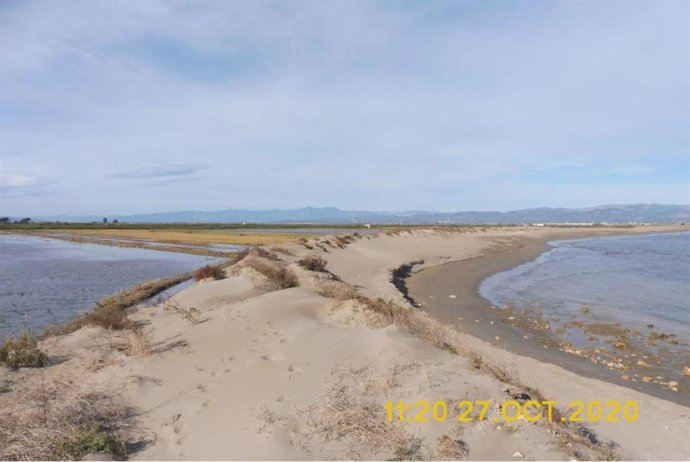 Trabajos de aportación de arena en la playa de la Marquesa, en el Delta del Ebro (Tarragona)