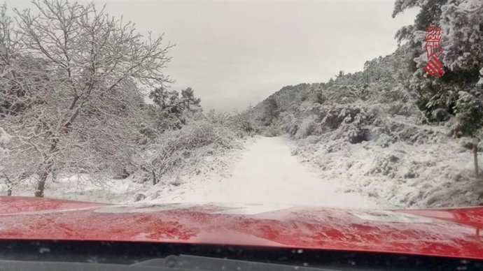 Vídeo de la noticia