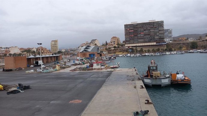 Embarcaciones de artes menores de El Campello amarradas en puerto