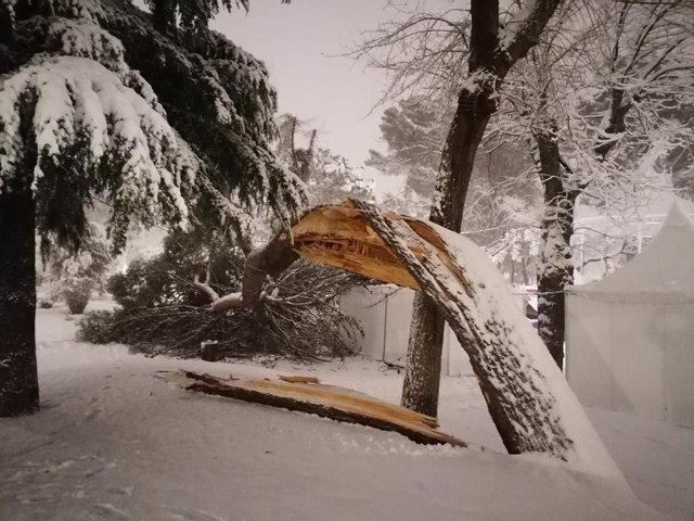 Nieve en Guadalajara sábado 9 de enero de 2020