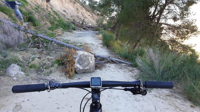 Investigadores de la UCAM desarrollan un algoritmo para detectar riesgos en el monte