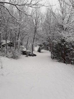 Nieve en Toledo durante el temporal 'Filomena'