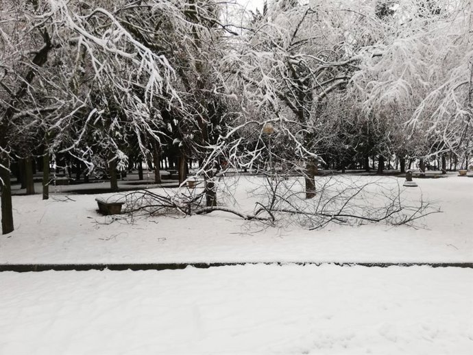 El Ayuntamiento de Huesca cierra todos los parques y zonas arboladas por la caída de ramas.