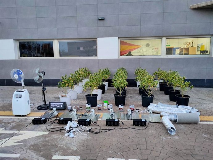 Imagen del alijo de marihuana intervenido por la Policía Local de Lorca