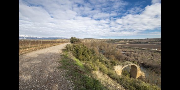 2. Concéntrico 07 echa a andar con tres concursos para el pabellón del festival y dos intervenciones junto al Ebro