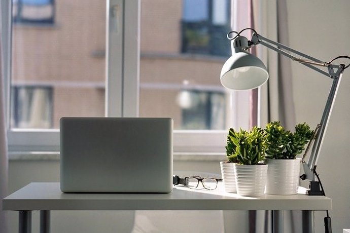 Un ordenador portátil en un escritorio junto a una lámpara y unas plantas