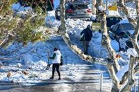 Consorcio de seguros no contempla indemnizaciones por nieve y desvincula su acción a la declaración de zona catastrófica