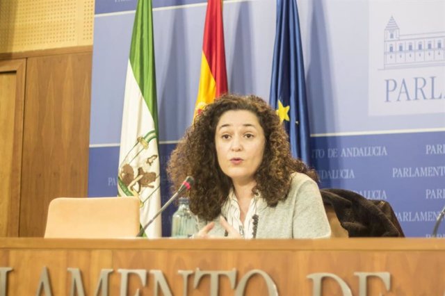 La portavoz parlamentaria de Adelante Andalucía, Inmaculada Nieto, en rueda de prensa.