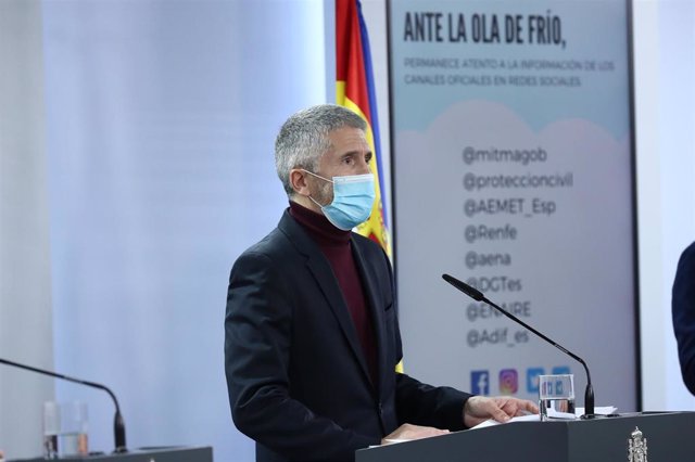 El ministro del Interior, Fernando Grande-Marlaska, en rueda de prensa desde Moncloa.