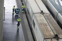 Renfe opera este martes sus 36 trenes habituales entre Andalucía y Madrid y los ocho con Barcelona