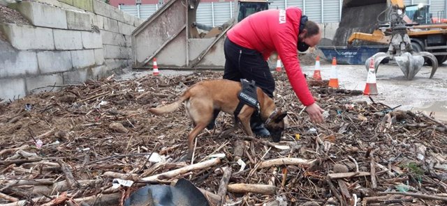 La Ertzaintza busca restos humanos en Getxo (Bizkaia)