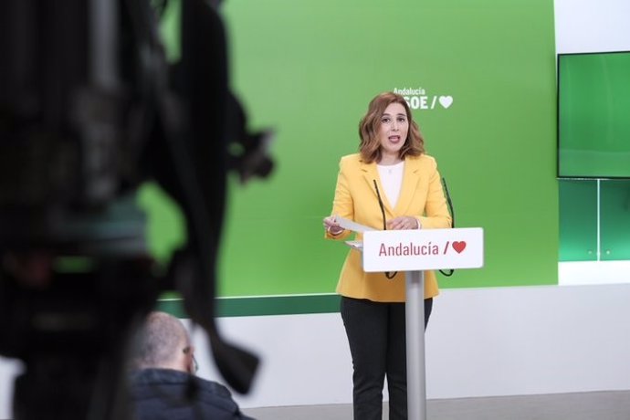 La parlamentaria del PSOE-A Beatriz Rubiño, en una comparecencia telemática este martes.