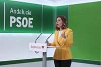 PSOE-A: El segundo trimestre empieza en Andalucía "sin garantías necesarias de seguridad" en colegios ante el Covid
