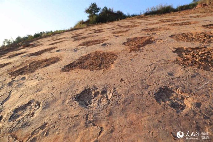Huellas de dinosaurio encontradas en Fujian