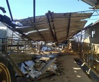 Filomena deja casi dos millones de pérdidas en el campo madrileño, según UPA