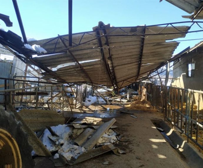 Destrozos en una explotación agraria en Madrid por la nieve