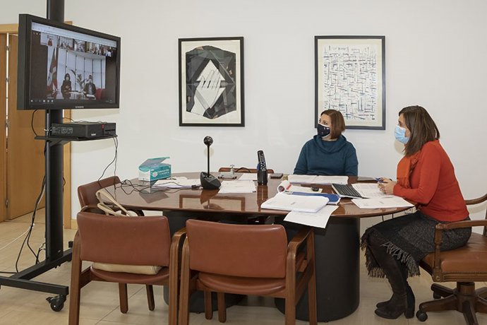La consejera de Acción Exterior de Cantabria, Paula Fernández, interviene en la reunión telemática de las comunidades autónomas integrantes de la futura Macrorregión Atlántica