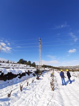Tcnics d'Endesa treballen en la xarxa elctrica durant el temporal Filomena