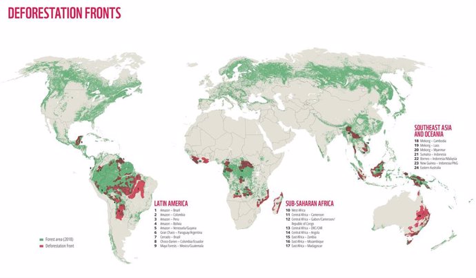 WWF alerta de que el mundo ha perdido a causa de la deforestación 43 millones de hectáreas en los últimos 13 años, el equivalente a la superficie de California (Estados Unidos).