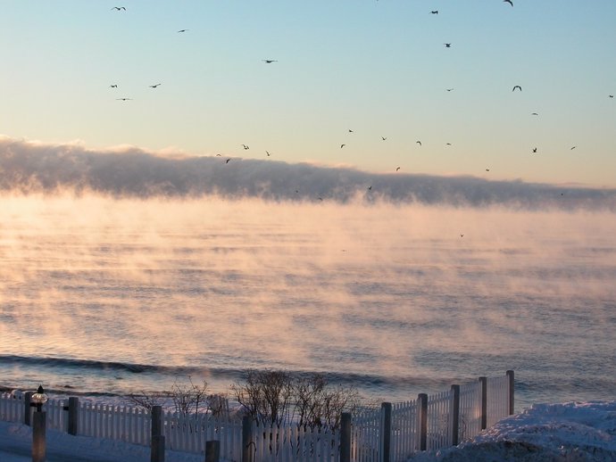 El humo del mar es el resultado del aire helado que pasa sobre agua relativamente caliente; el fenómeno es raro, incluso en el Ártico.