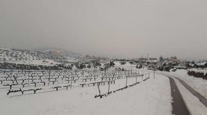 Filomena en la Comunitat Valenciana