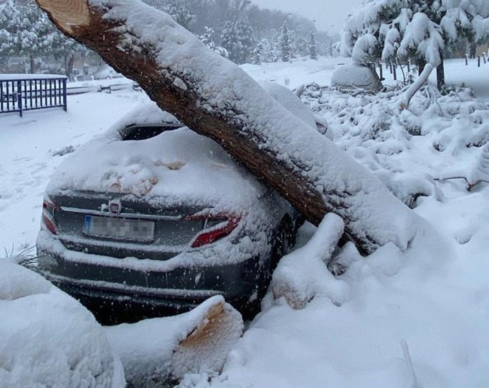 Coche atrapado por la nieve y un árbol en Getafe