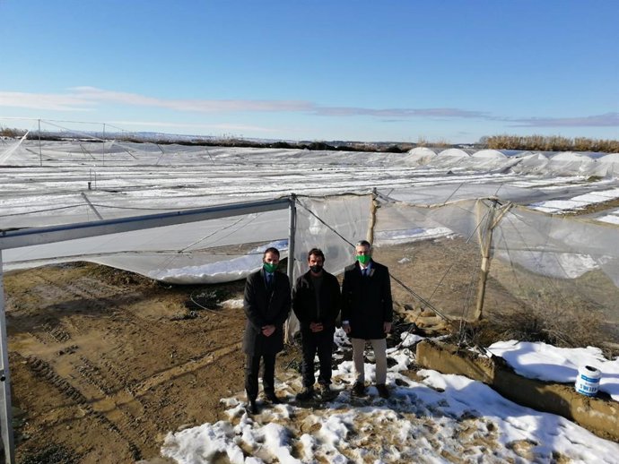 Daniel Corchero, director oficina Montañana (Zaragoza), junto a Emilio Mené., uno de los propietarios de un invernadero,  y Rubén Artieda, director de Negocio Agrario, delante de unos invernaderos afectados por la nieve