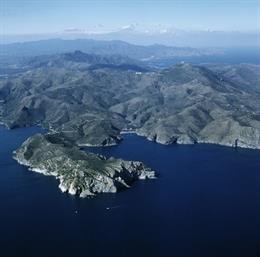 Nace el Comité de Cogestión de la pesca profesional en el Cabo de Creus