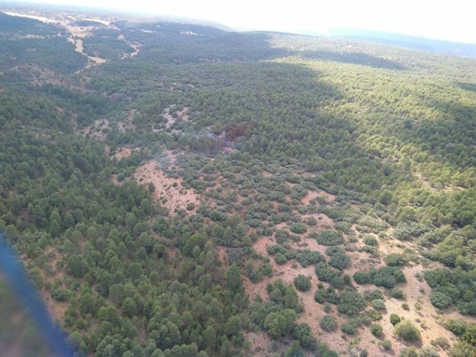 Masa arbolada, árboles, monte, pinos