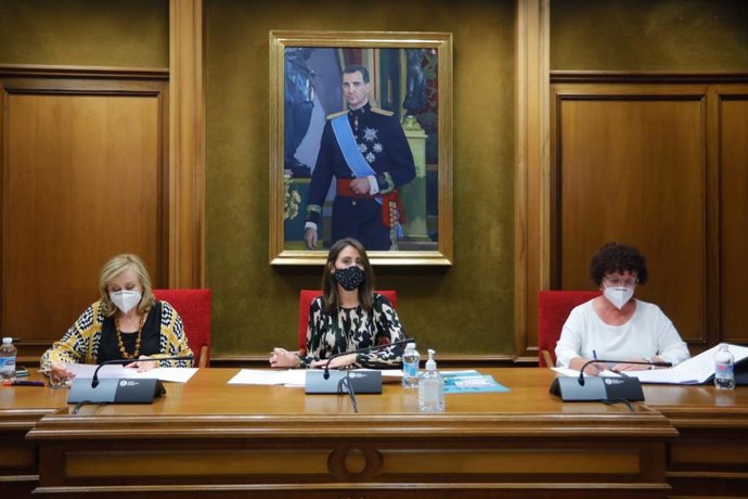 Reunión de la  Junta de Gobierno del Consejo Provincial de Mujeres