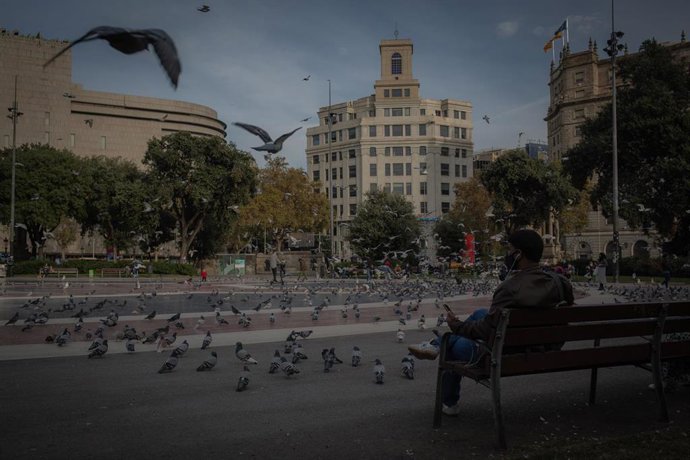 Un hombre sentado en un banco en la Plaza de Catalunya, en Barcelona, Catalunya (España), a 16 de noviembre de 2020. El turismo internacional se desplomó este verano debido como consecuencia del coronavirus.