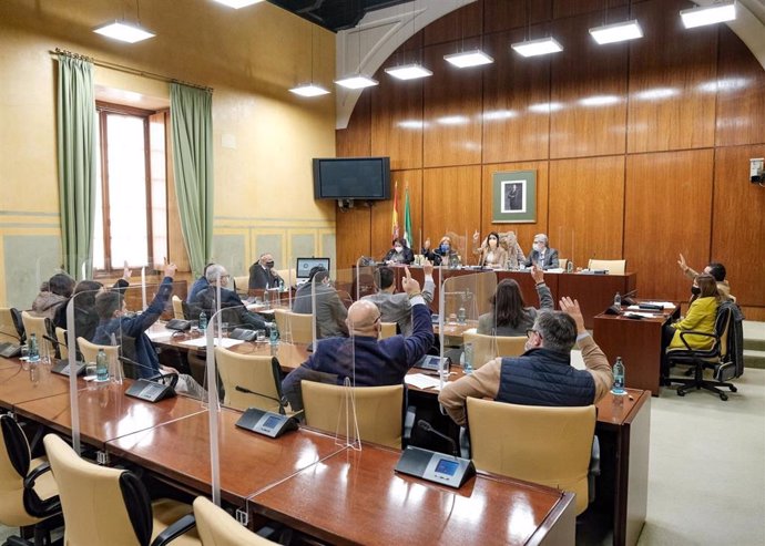 Reunión de la Diputación Permanente del Parlamento de Andalucía, este miércoles