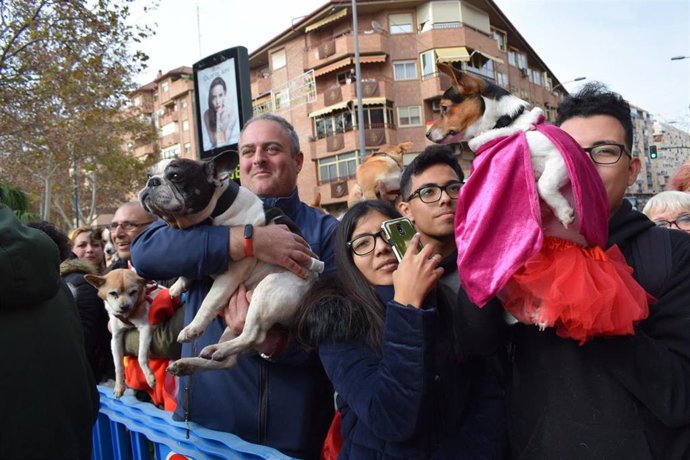 Animales esperando su bendición a las puertas de la Ermita de San Antón en Murcia