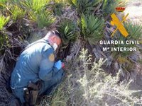 Dos investigados en Almería por presunto comercio ilegal de trofeos de caza y falsedad documental