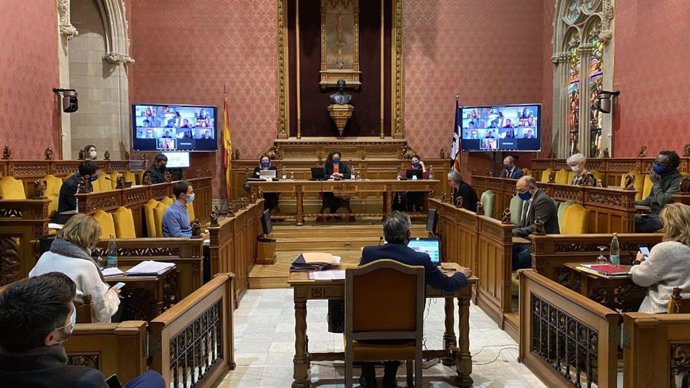 Pleno del Consell de Mallorca.