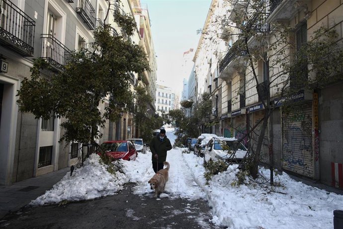 Un hombre pasea a su perro en una calle del centro aún con nieve y árboles caídos en Madrid