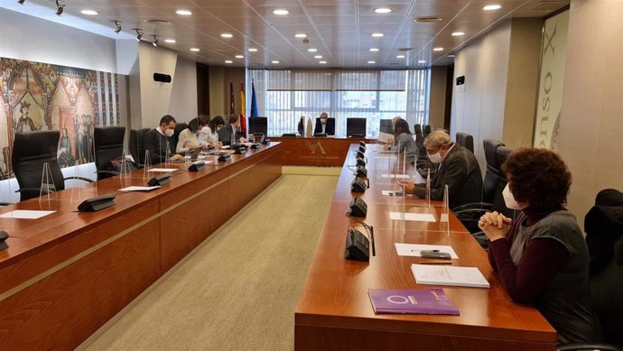 Reunión de la Comisión de Reactivación Económica y Social de la Asamblea regional de Murcia