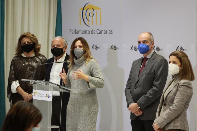 La diputada del Grupo Nacionalista, Rosa Dávila, en una rueda de prensa junto a diputados de Tenerife