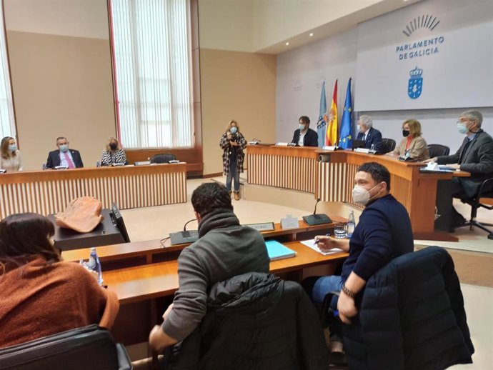 Reunión de la Diputación Permanente de la Cámara gallega