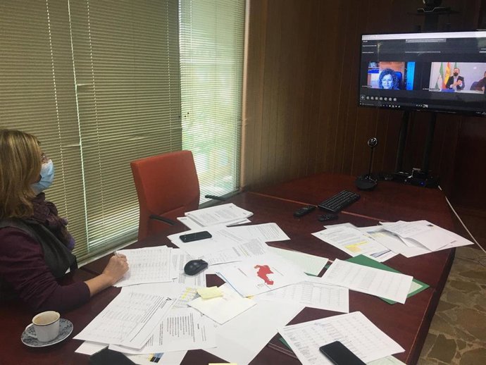 Nota De Prensa: La Delegada De Salud Y Familias Se Reúne Con Los Alcaldes De Las Comarcas De Jerez, Costa Noroeste, Bahía De Cádiz Y La Janda Para Abordar La Situación Actual Ante El Covid 19