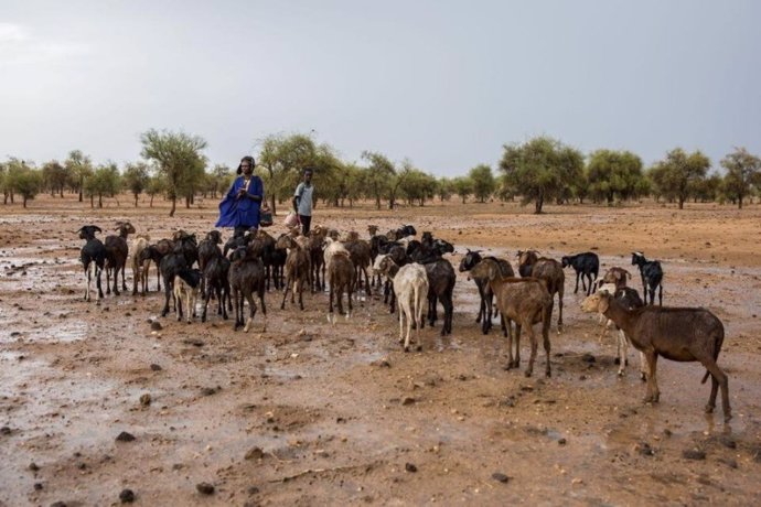 Pastores con su rebaño en el Sahel