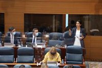 Vox critica la "falta de previsión" de Comunidad y Ayuntamiento en el temporal: "Han fallado en la gestión"