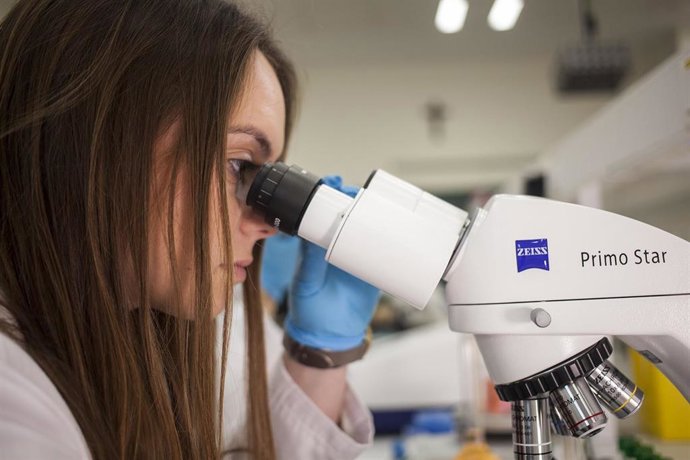 El nuevo clúster Ciencias de la Vida pondrá el conocimiento al servicio de la sociedad (foto de archivo)