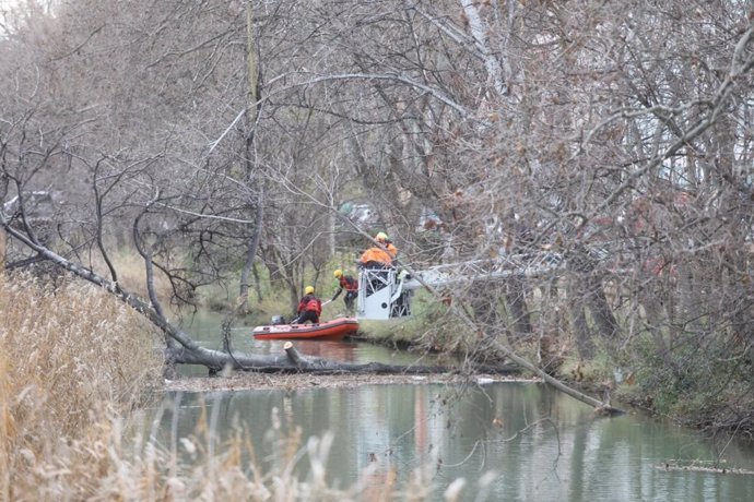 Los bomberos retiran un árbol caído en el Canal Imperial con un amplio dispositivo y la Unidad de Buceadores